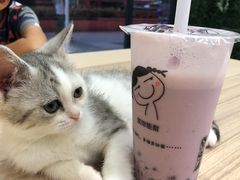 -学姐家酸奶铺(江大店)