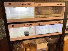 -灵龟之家百象馆(百象馆联合旗舰店)