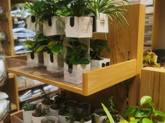 -MUJI无印良品(环球港店)