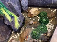 -川锅一号火锅(铜山万达店)