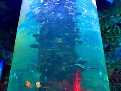 -青岛嘉年华主题乐园