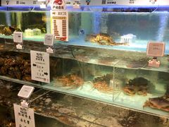 -超级物种·波龙工坊(国贸店)