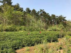 -南京金牛湖风景区