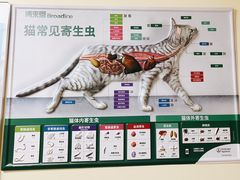 -谐和贝康宠物医院24小时·宠保定点(急重症转诊中心)