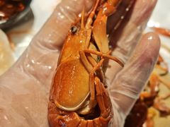 -靓靓蒸虾·头牌蒸虾(雪松路总店)