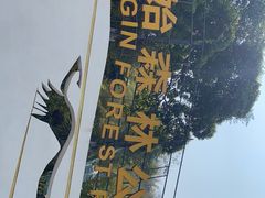 -西双版纳原始森林公园