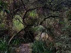 -水濂山森林公园