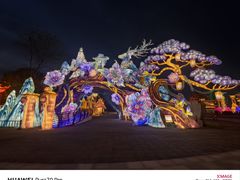 -淄博花灯齐彩城