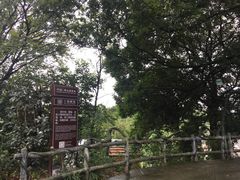 -巢湖姥山岛