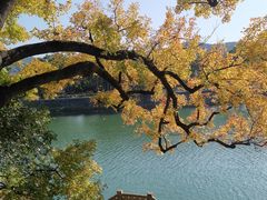 -溪口-滕头旅游景区