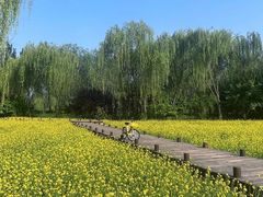 -北坞公园