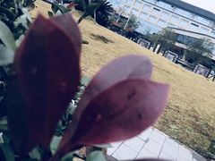 -宁波富邦荪湖山庄(慈城古县城店)