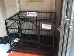 -交通银行(上海市分行营业部)