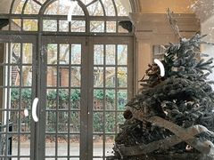 -伯衡55·吉品轩(乌鲁木齐南路店)