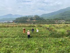 -古山重-长泰滑翔伞基地