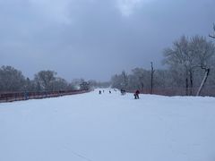-亚布力新体委滑雪场