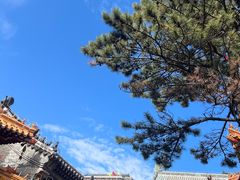 -泰山风景名胜区