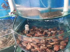-叶存利海鲜大馅饺子(东戴河止锚湾店)