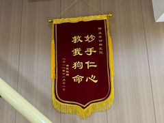 -米苏动物医院·犬猫专科·骨科外科内窥镜