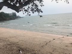 -卷心菜和避孕套餐厅(Pattaya)