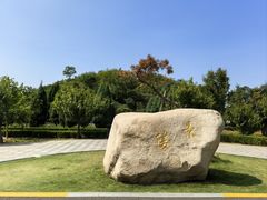 -洛阳古墓博物馆