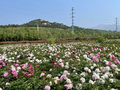 -西海岸生态观光园