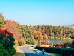 -南京银杏湖乐园