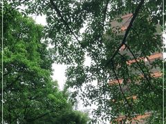 -鹅岭公园瞰胜楼