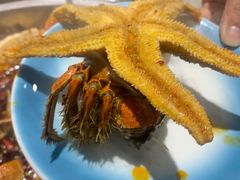 -527烧烤·龙虾·精酿酒(小石城美乐城店)