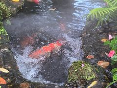 -Chom Cafe and Restaurant