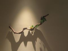 -若水云栖·足疗·按摩·SPA(城阳万达广场店)
