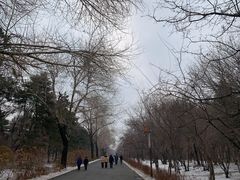 -长春市南湖公园