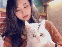 -猫小院猫主题餐厅(南锣旗舰店)