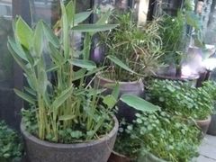 -新悦·霞浦海鲜生(上下杭店)