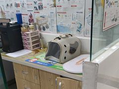 -芭比堂动物医院(广州爱宠下渡路分院)