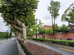 -苏州图书馆(人民路总馆)