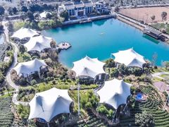 -帐篷客·溪龙茶谷度假酒店