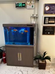 -海涛医疗美容·面部抗衰·注射美鼻