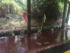 -南湾猴岛+椰田古寨一日游