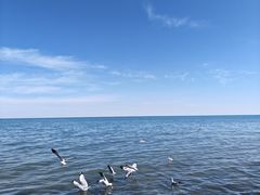 -青海湖国家重点风景名胜区