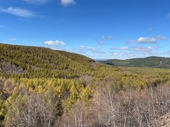 -塞罕坝国家级自然保护区