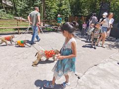 -青峰峡国家森林公园