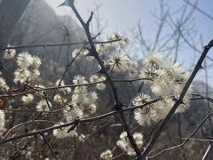 -抱龙峪