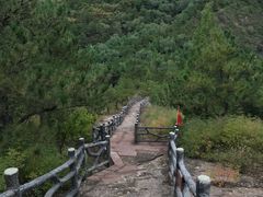 -磬锤峰森林公园