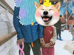 -Mr·Kuma酷么先生雪之乐园