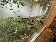 -花迹(富春江东街店)
