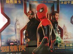 -中影嘉华国际影城(大芬星都里店)