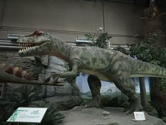 -国家自然博物馆