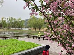 -长广溪湿地公园