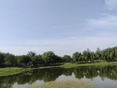 -大兴滨河森林公园